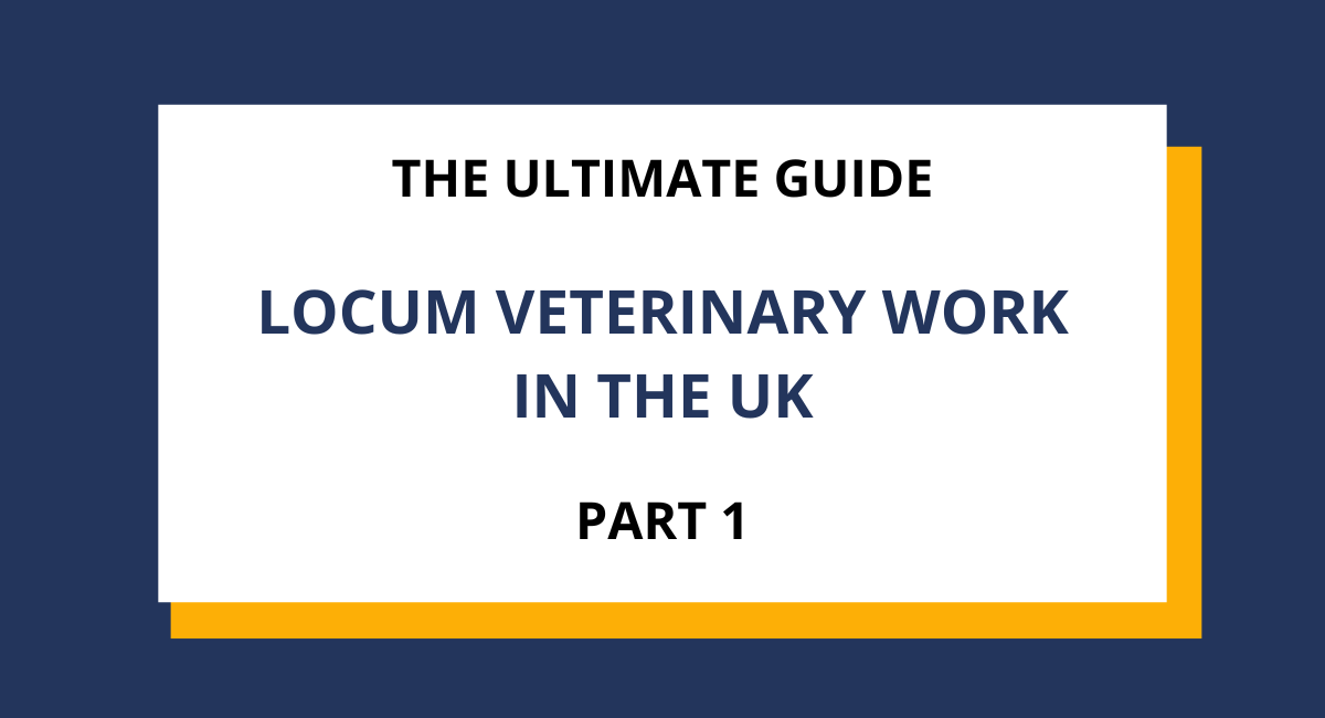 part one of a blog series by vet jobs agency about locum veterinary work in the uk